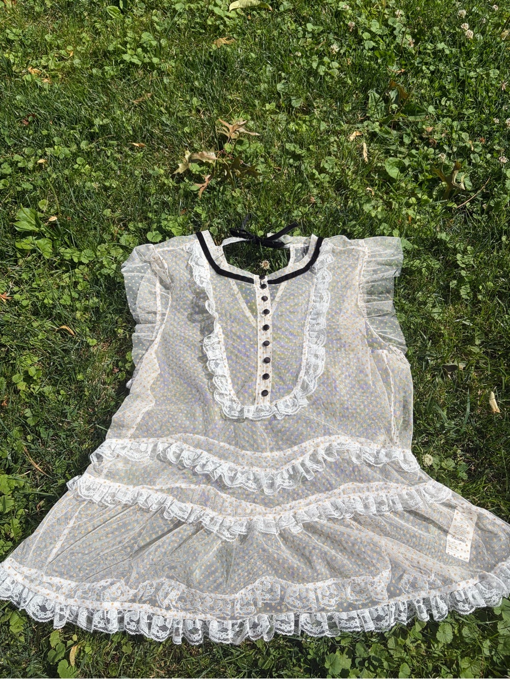 Anthropologie White Sheer Dot Mesh Top with Black Ties - Picture 2 of 6